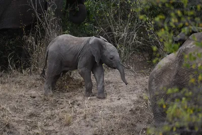 DSC_4092 (Large).JPG